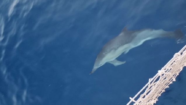 ปาแลร์โมตะวันออก: ทัวร์เรือชมถ้ำและทิวทัศน์อันตระการตา