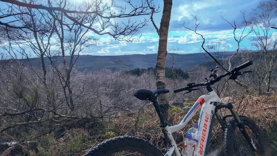Sheffield: noleggio biciclette per famiglie, Peak District, sentieri e altro ancora