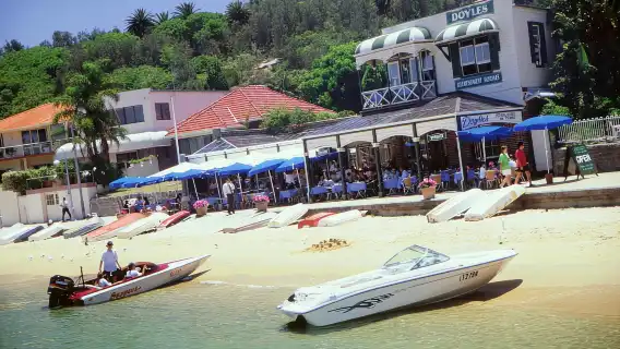 雪梨：隨上隨下海港遊船（含解說）