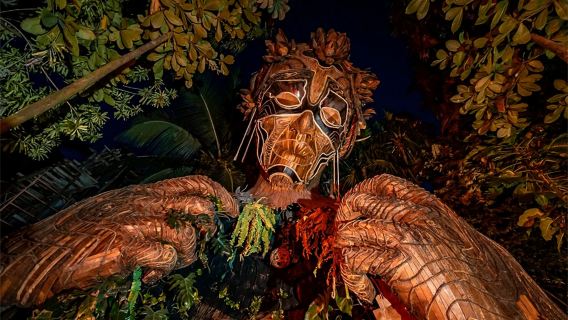 Lagatos attraction+ Pink Lake 1-day tour