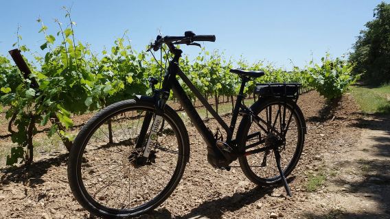 Vino de Provenza en bicicleta eléctrica... ¡No te lo pierdas!