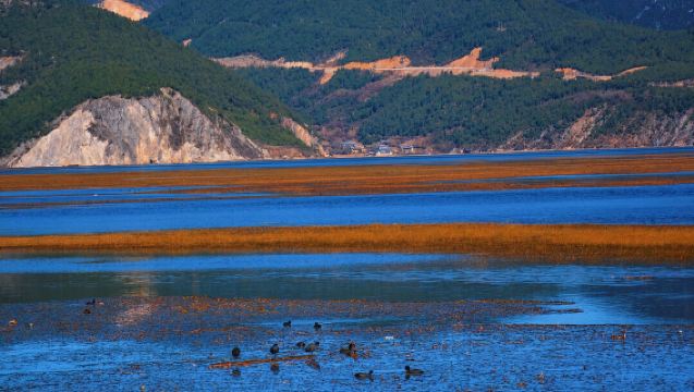 Shangri-la Must-Go! Private One-Day Tour to Napa Hai(Yila Grassland) +Songzanlin +Potatso