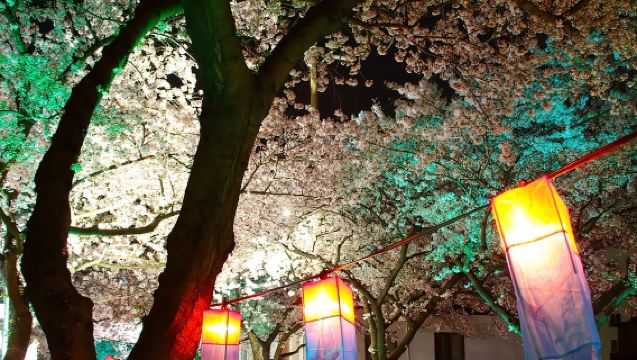 Jeju: Tour por el este de la UNESCO (Seongsan, Espectáculo de Haenyeo)