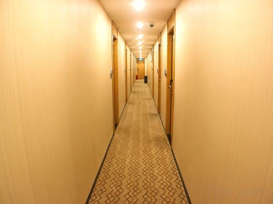 Others 5, Pujiang Collection Hotel (Shanghai Metro StationWulian Road), Shanghai