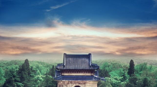 9人團丨南京總統府+中山陵景區+音樂台+美齡宮+明孝陵夫子廟