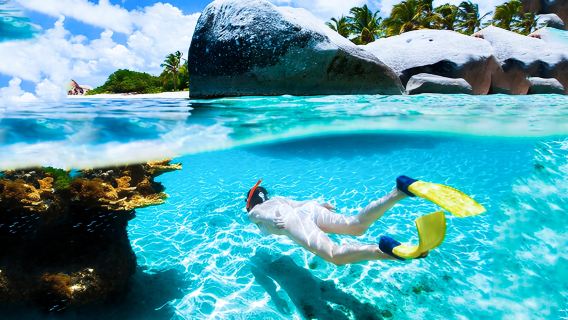 Phi Phi IslandsTours