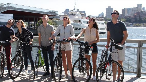 Tour in bicicletta dei punti salienti di New York City 17331