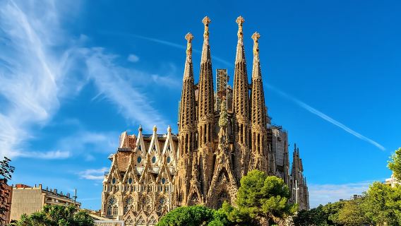 Barcelona en 1 día: Sagrada Familia, Parque Güell, casco antiguo y recogida