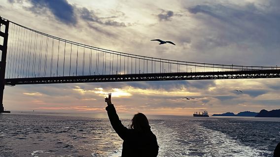 Crociera all'interno di Alcatraz e della baia del Golden Gate Bridge