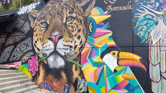 Private Tour durch Medellín und Comuna 13