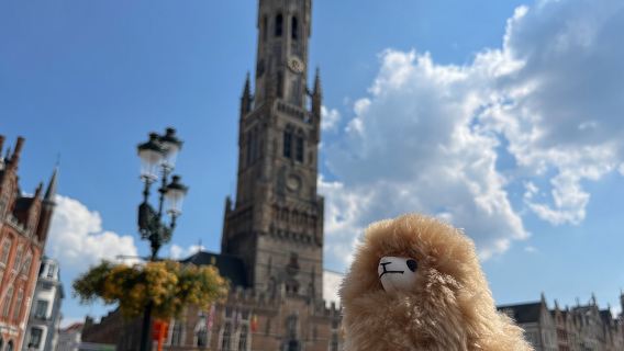 Private Ganztagestour Brügge & Gent ab Brüssel mit Verkostungen