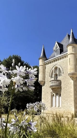 1-day tour of Medoc + Saint-Emilion wine regions in France|Includes 3 winery tours + lunch