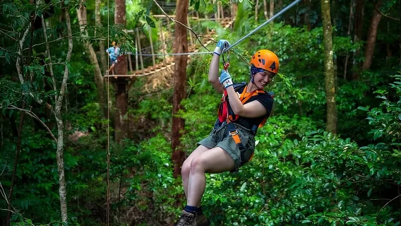 Ziplining Cape Tribulation with Treetops Adventures