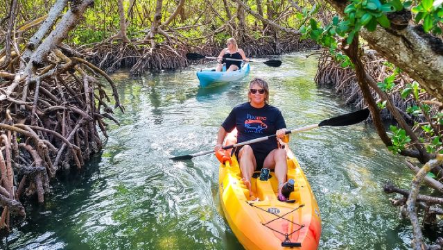 Mangrovie, lamantini e un tour in kayak su una spiaggia nascosta (Siesta Key)