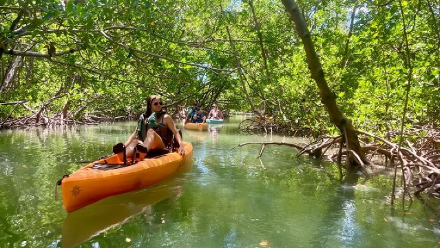 Tour en kayak con pedales en Marco Island y Naples (pedalear o remar)