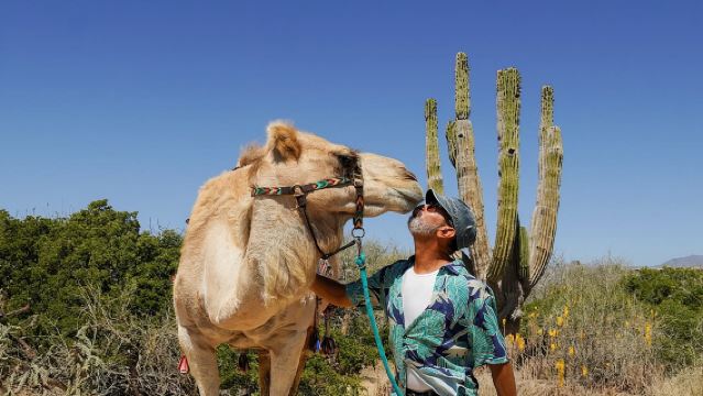 Magische Tour durch Todos Santos, Kamelranch, Mittagessen und Tequila