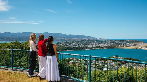 Discover Wellington 3 hour City Tour Day Tours