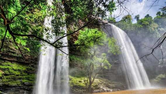 Boti Falls, Umbrella Rock, Aburi Gardens & Cocoa Farm Day Tour