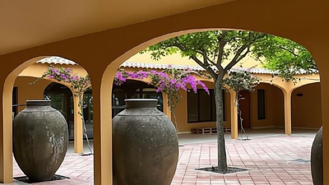 Arrábida: Wine Tour & Tastings Day Tour (Private)