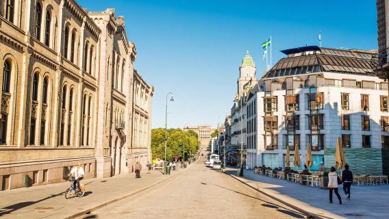 Biglietti per il tour a piedi della città vecchia di Oslo e la crociera sui fiordi