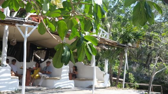 Tulum: Zenote Siente con paquete gastronómico y traslados