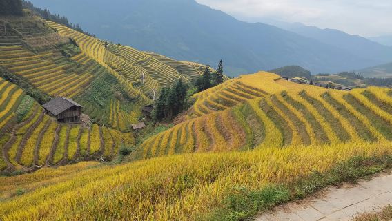 Longji Rice Terraces: Full-Day Private Tour from Guilin