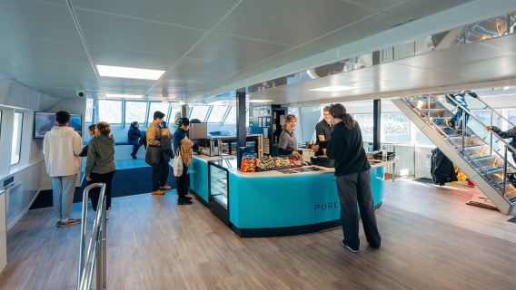 Da Te Anau: tour in pullman e crociera a Milford Sound