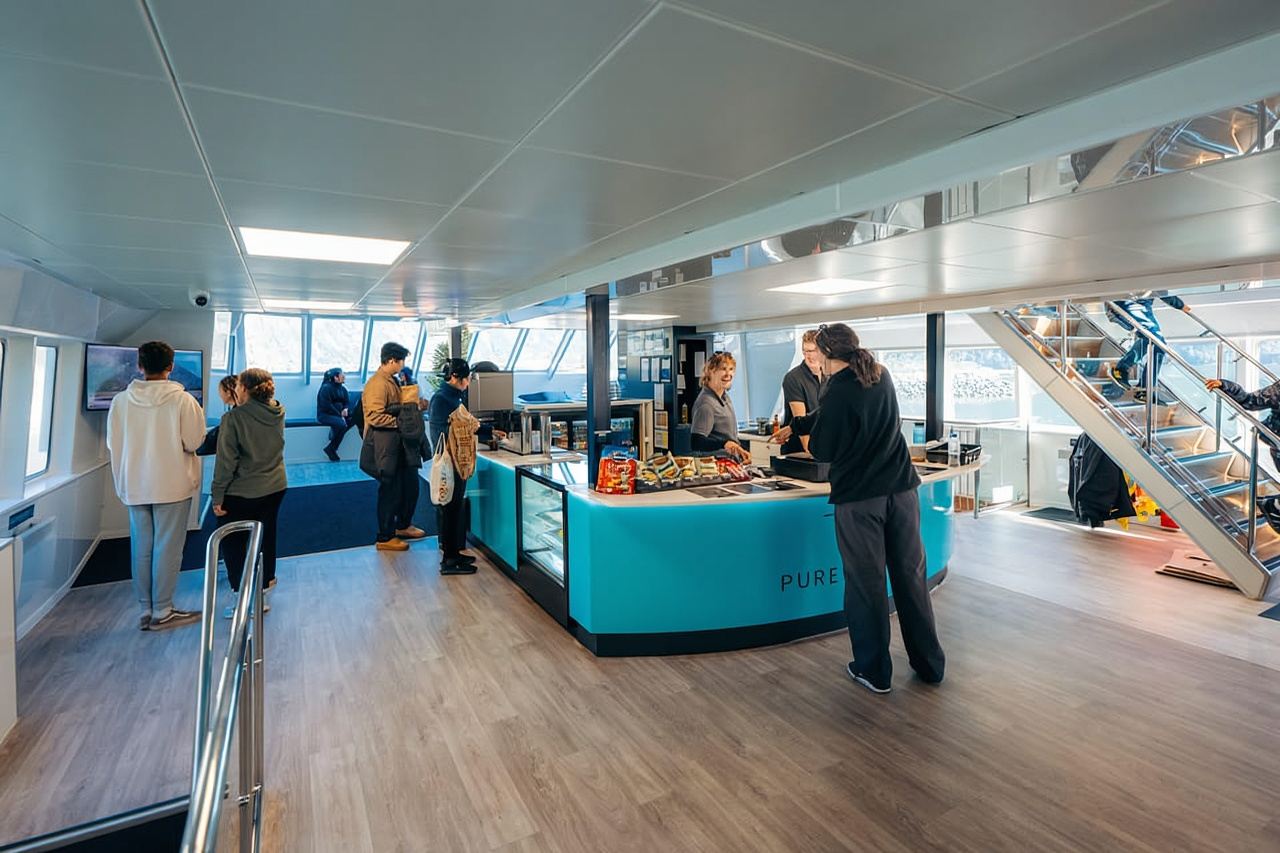 Queenstown: Milford Sound Coach & Cruise Full-Day Trip