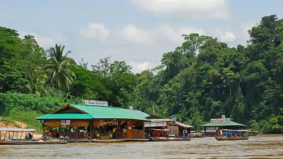 從 吉隆坡 出發：大漢山國家公園健行日遊