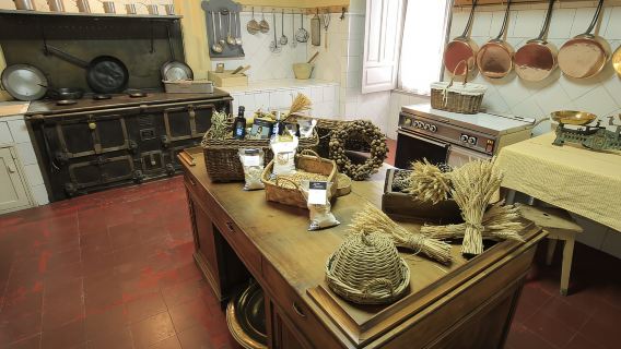 Salamanca: Audioguide-Tour durch den Palast von Monterrey