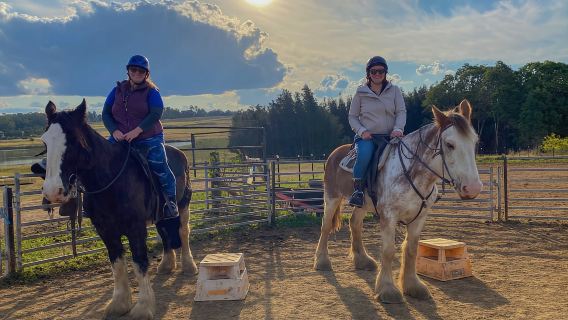Hunter Valley: Sunset Horse Riding Tour 90min