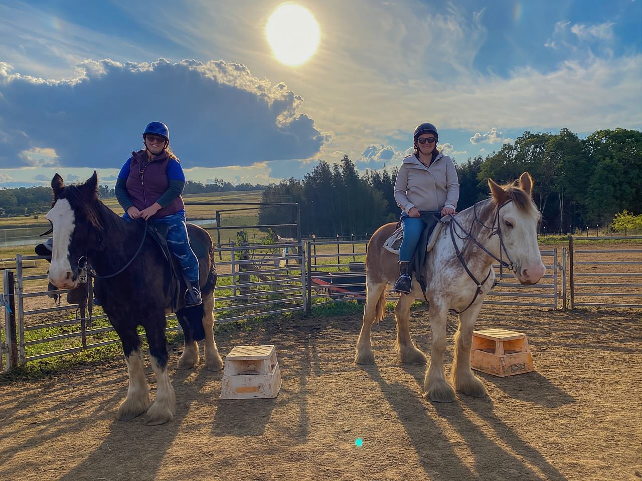Hunter Valley: Sunset Horse Riding Tour 90min
