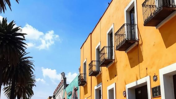 Thành phố Puebla: Tham quan thị trấn thuộc địa và khu bảo tồn đom đóm