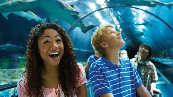 SeaWorld Orlando: Park Admission Ticket