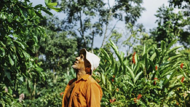 ラ・フォルトゥーナ:地元のコーヒーツアー体験