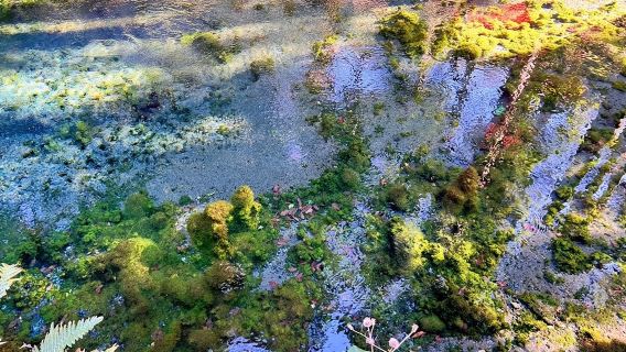 일본 미야자키현 다카치호 협곡, 아마테라스 철도, 아마야스 강을 둘러보는 일일 투어