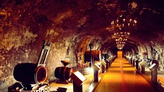 前往蘭斯的酒莊 - 品嚐香檳/蘭斯美術館/大教堂 - 1日包車遊