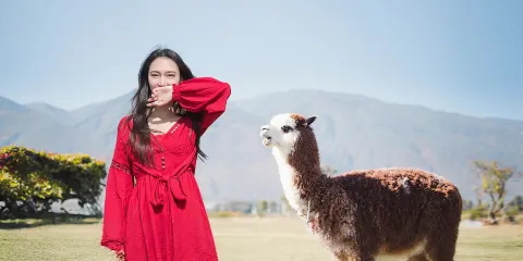 大理蒼山(感通索道)+喜洲+非遺扎染體驗+洱海雙廊純玩一日遊
