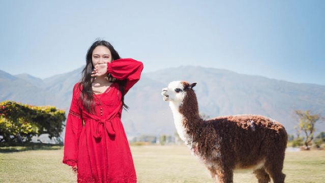 大理蒼山(感通索道)+喜洲+非遺扎染體驗+洱海雙廊純玩一日遊