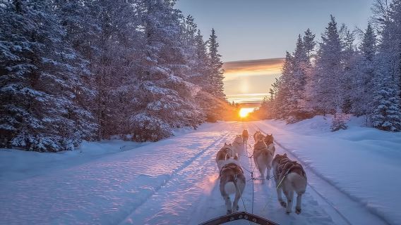 冬季&費爾班克斯狗拉雪橇-聖誕老人村-珍娜溫泉一日遊