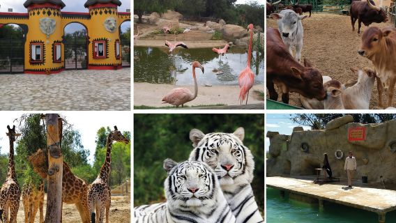  Friguia Parc - Half-Day Tour