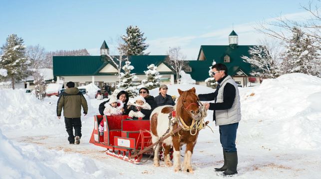 【官方票】 JR PASS 北海道鐵路周遊券5/7/10日（電子兌換券）