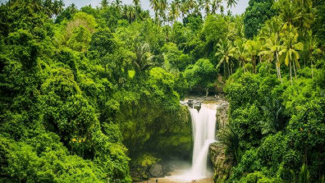 Bali, Indonesia - Pemandu Pelancong Tempatan, Pemandu Perjalanan, Terjemahan Perniagaan/Perkhidmatan Peribadi/Lawatan Bebas dengan Penyambut Tempatan