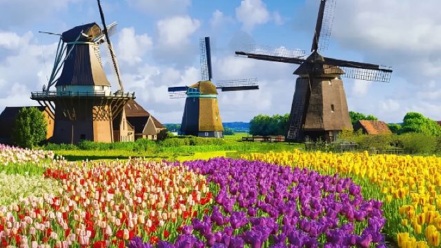 Belanda: Kampung Kincir Angin + Bandar Lego + Kampung Giethoorn [Kumpulan Kecil 4-7 Orang | Pemandu Pelancong Profesional Berbahasa Cina]
