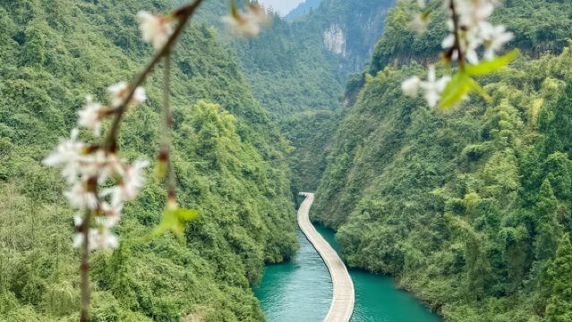 獅子關旅遊區+宣恩伍家台一日遊【贈送宣恩夜景 網紅水上浮橋】