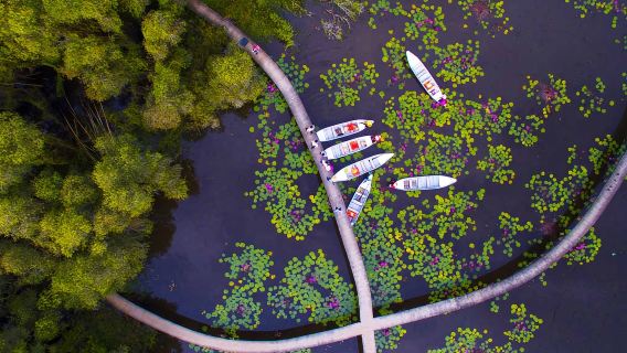 From Ho Chi Minh City: Tan Lap Eco Village Boat Ride & Forest Day Tour