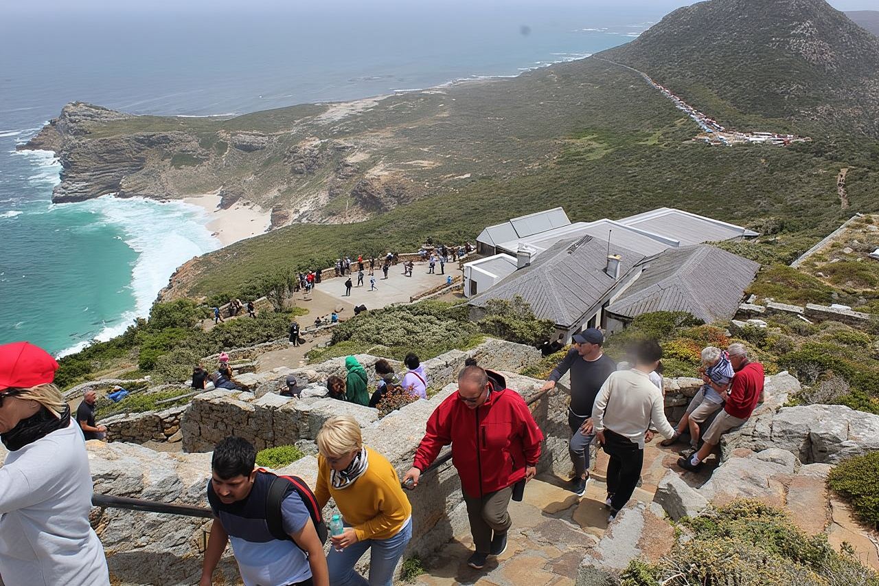 Частный тур Cape Point Penguins — исследование Капского полуострова (полный/утренний)