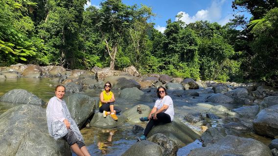 Escursione guidata di un giorno alla foresta pluviale di El Yunque da San Juan