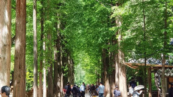 Tur Muslim (Pulau Nami + Petite France)