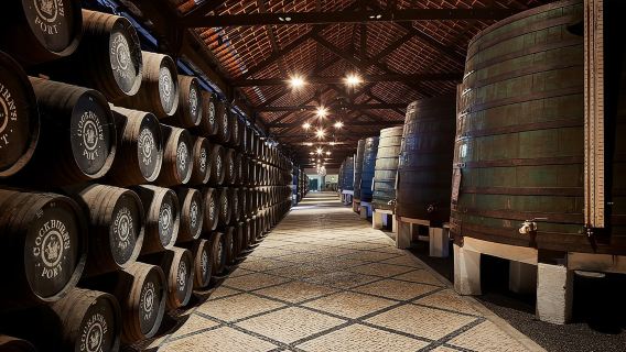 Visita a las bodegas de Cockburn